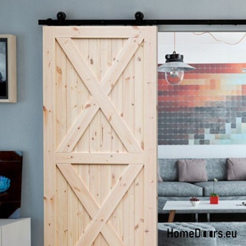 ROHE HOLZTÜREN RADEX LOFT XX 60 ROHE HOLZTÜREN RADEX LOFT XX 60