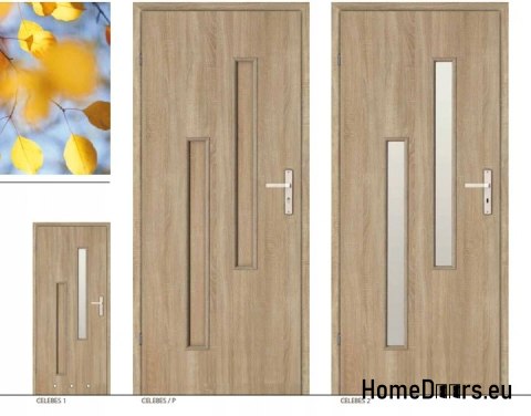 Badezimmertüren mit Glas für WC CELEBES 60 Badezimmertüren mit Glas für WC CELEBES 60
