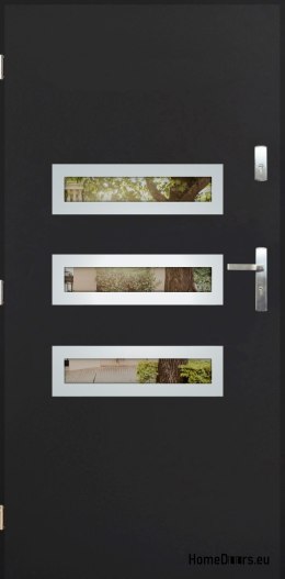 Außentür mit Spiegel W-4 INOX 70/80/90/100