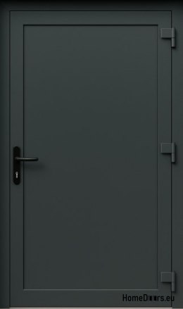 PVC TECHNISCHE AUSSENTÜREN FÜR HAUSHALTE 90X205 cm ANTHRAZIT RECHTS