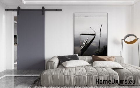 Schiebetür 70 wandmontierte ALFA LOFT P 01 Anthrazit 74 + Schiebesystem