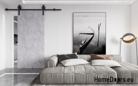 Schiebetür 80 wandmontiertes ALFA LOFT A 04 Beton 85+ Schiebesystem