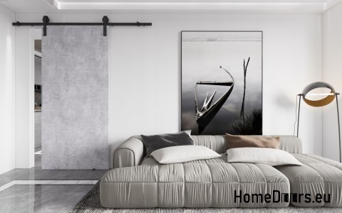 Schiebetür 90 wandmontierte ALFA LOFT A 04 Beton 95 + Schiebesystem