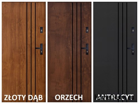 Drzwi Zewnętrzne PANTOR HURON Lewe 100 Antracyt Grube 72mm Ciepłe