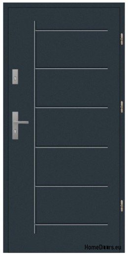 HAUSTÜR „WÄRMEDÄMMEND T41